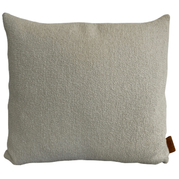 Ascen Cushion