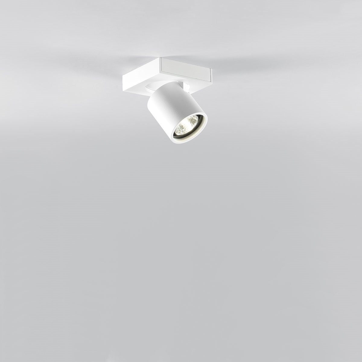 Focus Mini 1