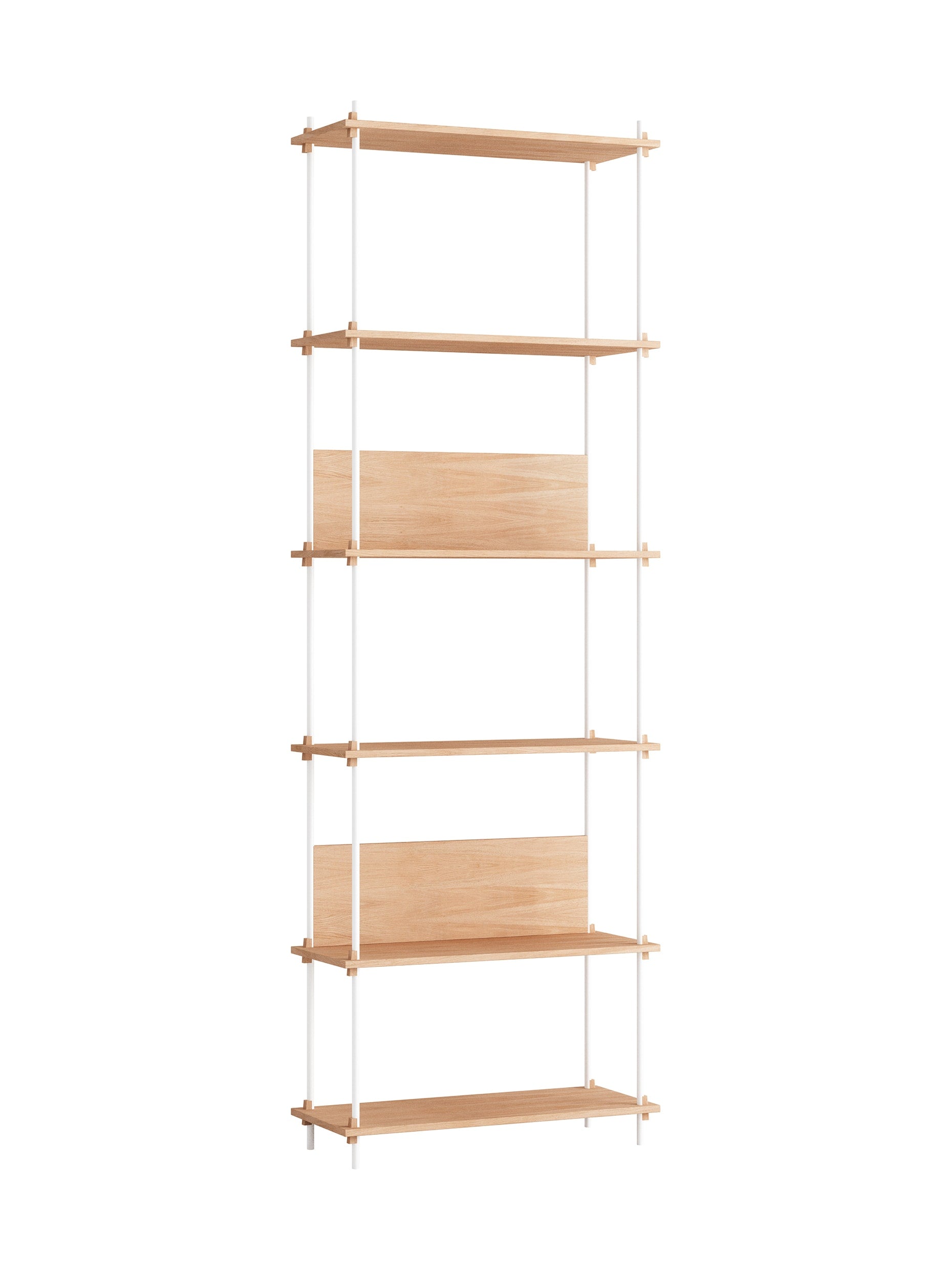 Shelving System - s.255.1.A