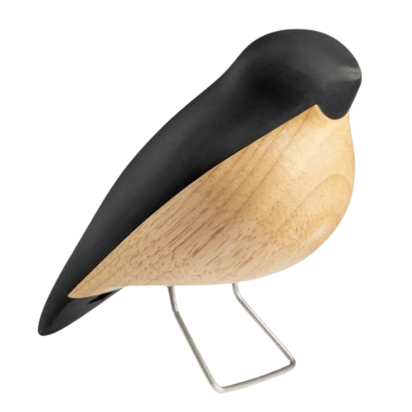 Nattergalen - Black - Aviendo