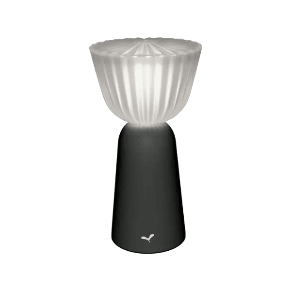 Swiing-lamp-H20-Anthracite-Fermob-schiang-living
