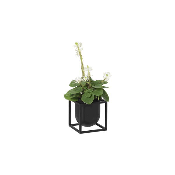 Kubus Flowerpot 10