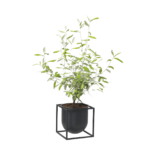 Kubus Flowerpot 14